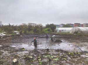陵城河道鱼塘清淤